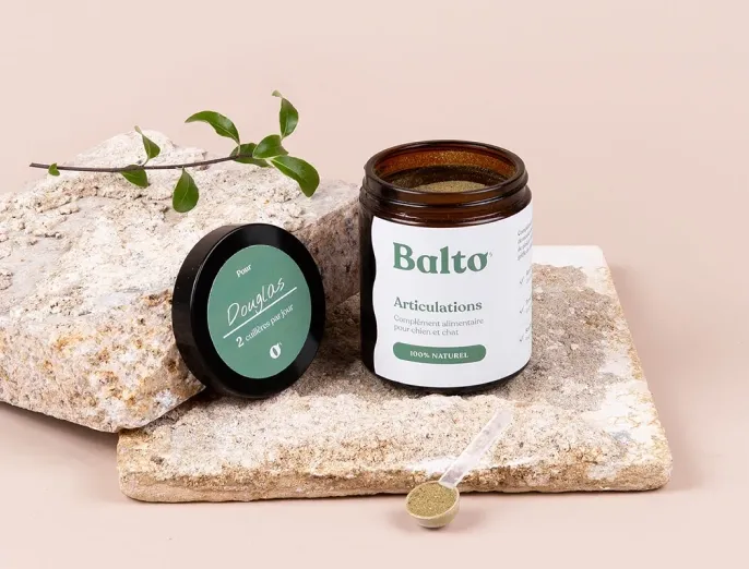 MyBalto Shopify development