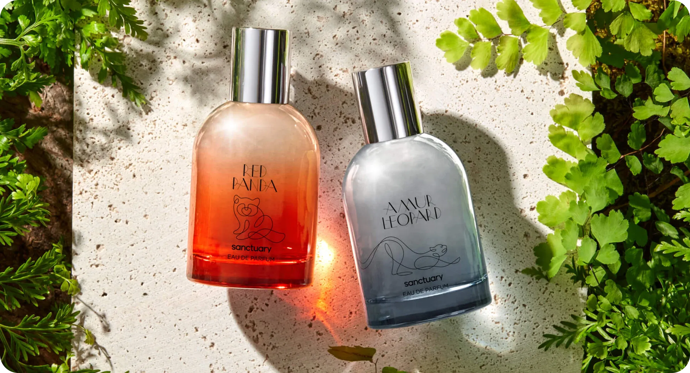 Our solutions Our solutions