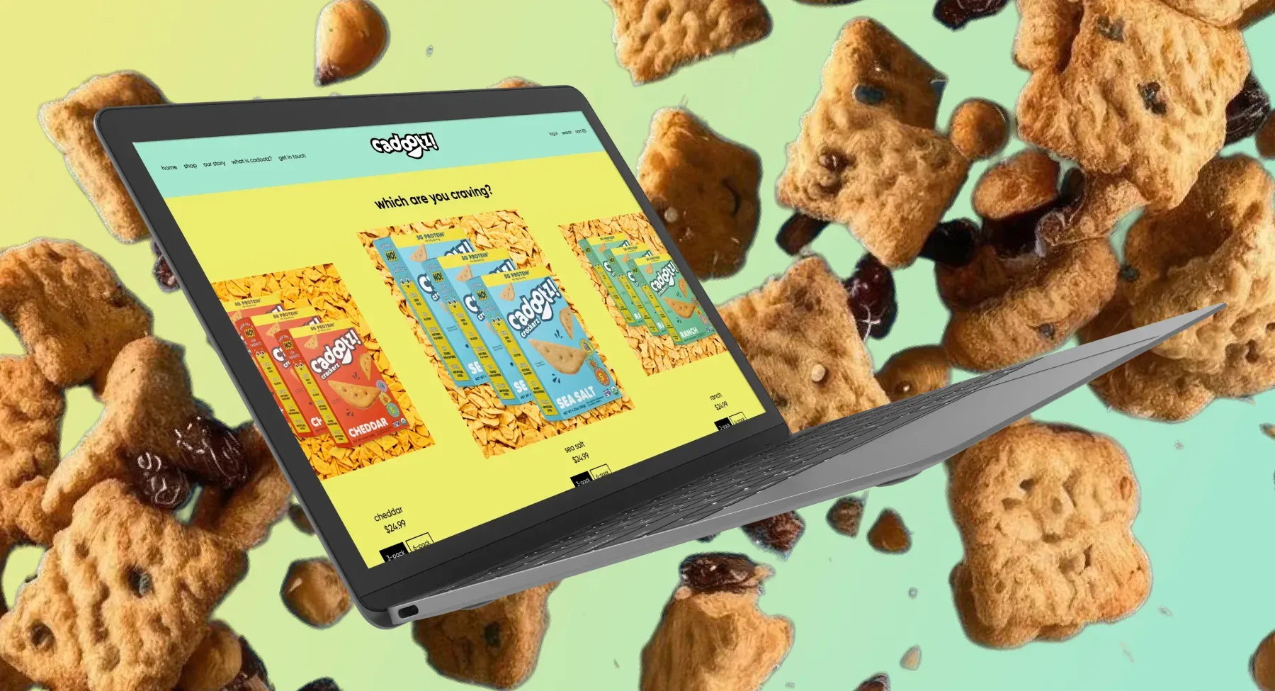 Our solutions for Cadootz