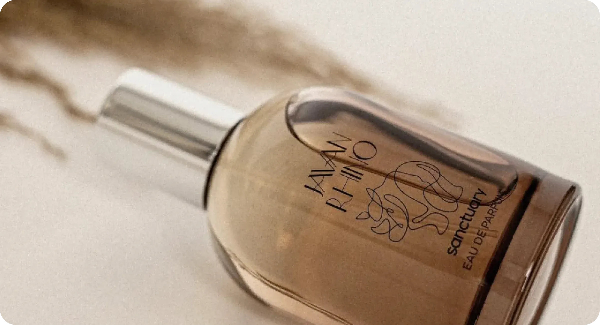 Project outcomes Project outcomes