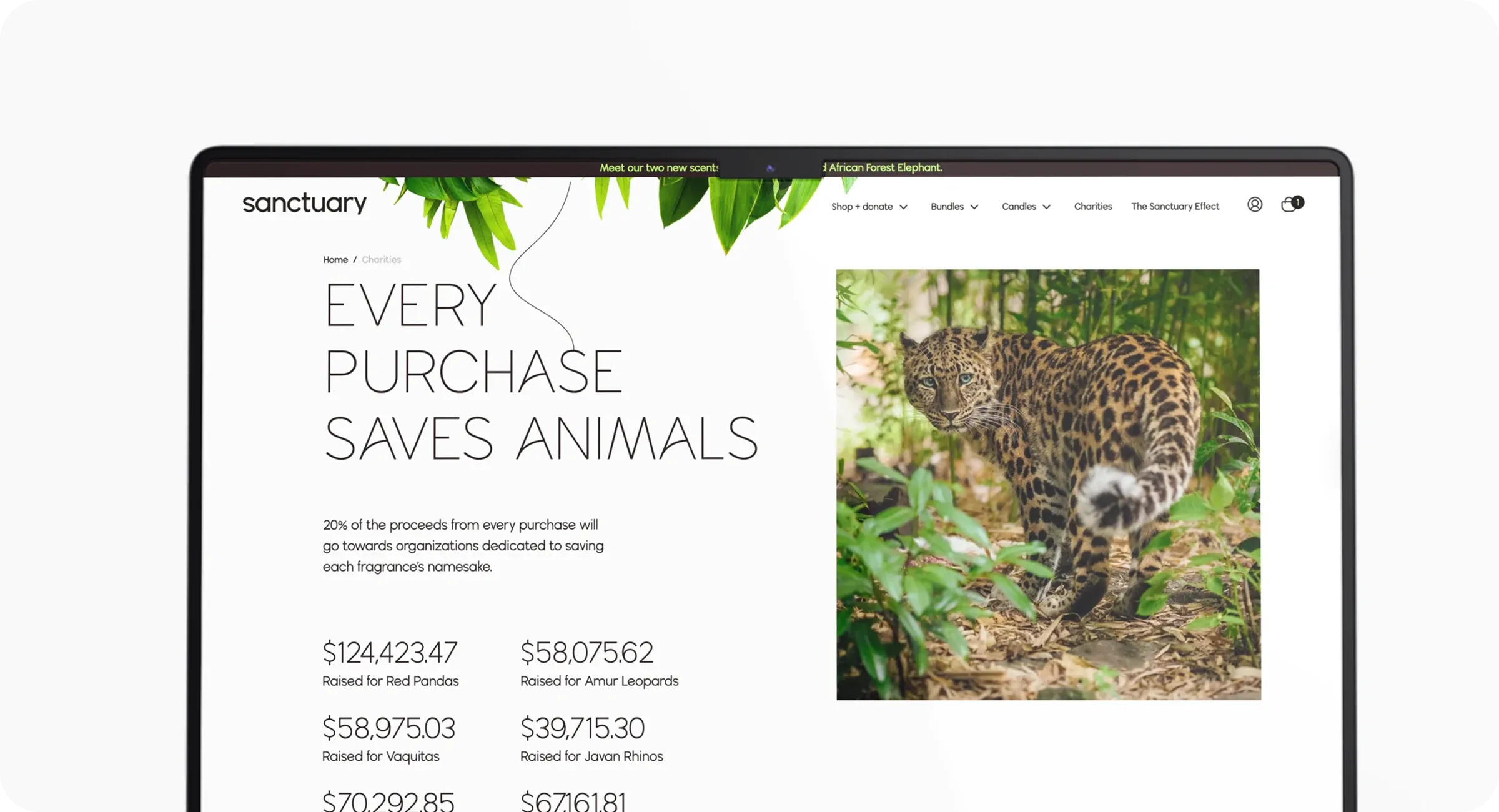 Project results Project results