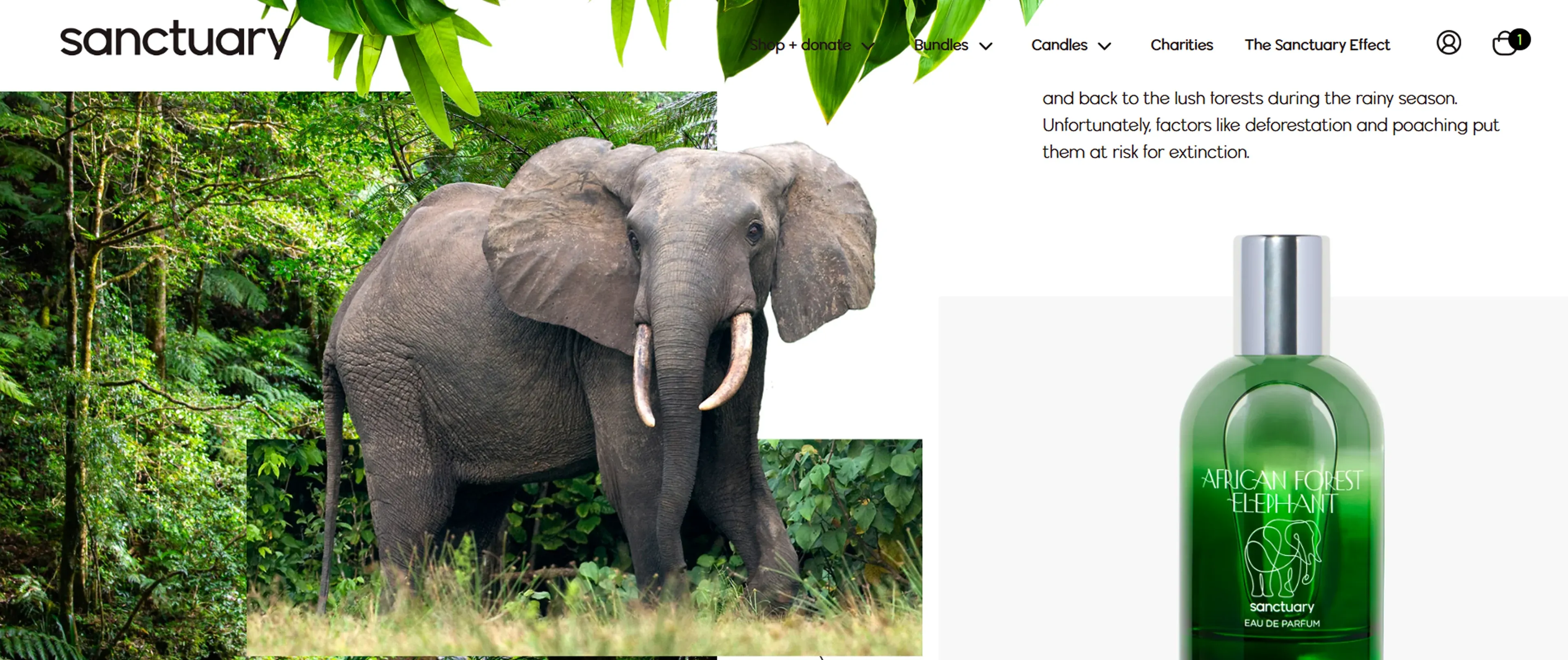 Sanctuary - a Shopify Plus beauty store