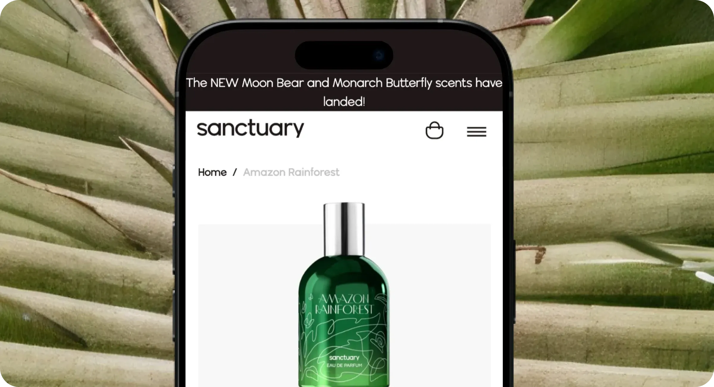 The client's challenge The client's challenge